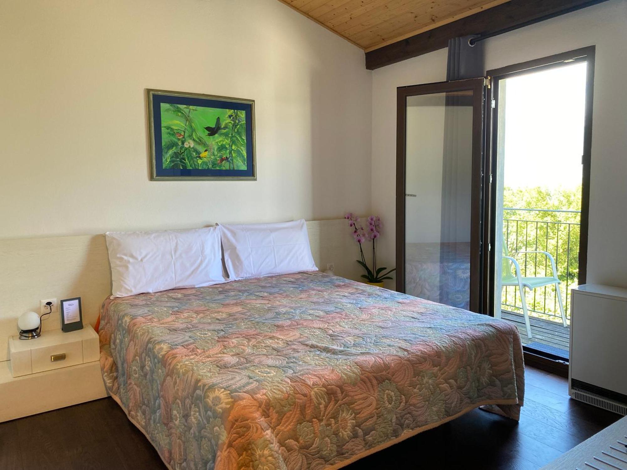 Viva Bacco Bed & Breakfast Gambarogno Luaran gambar