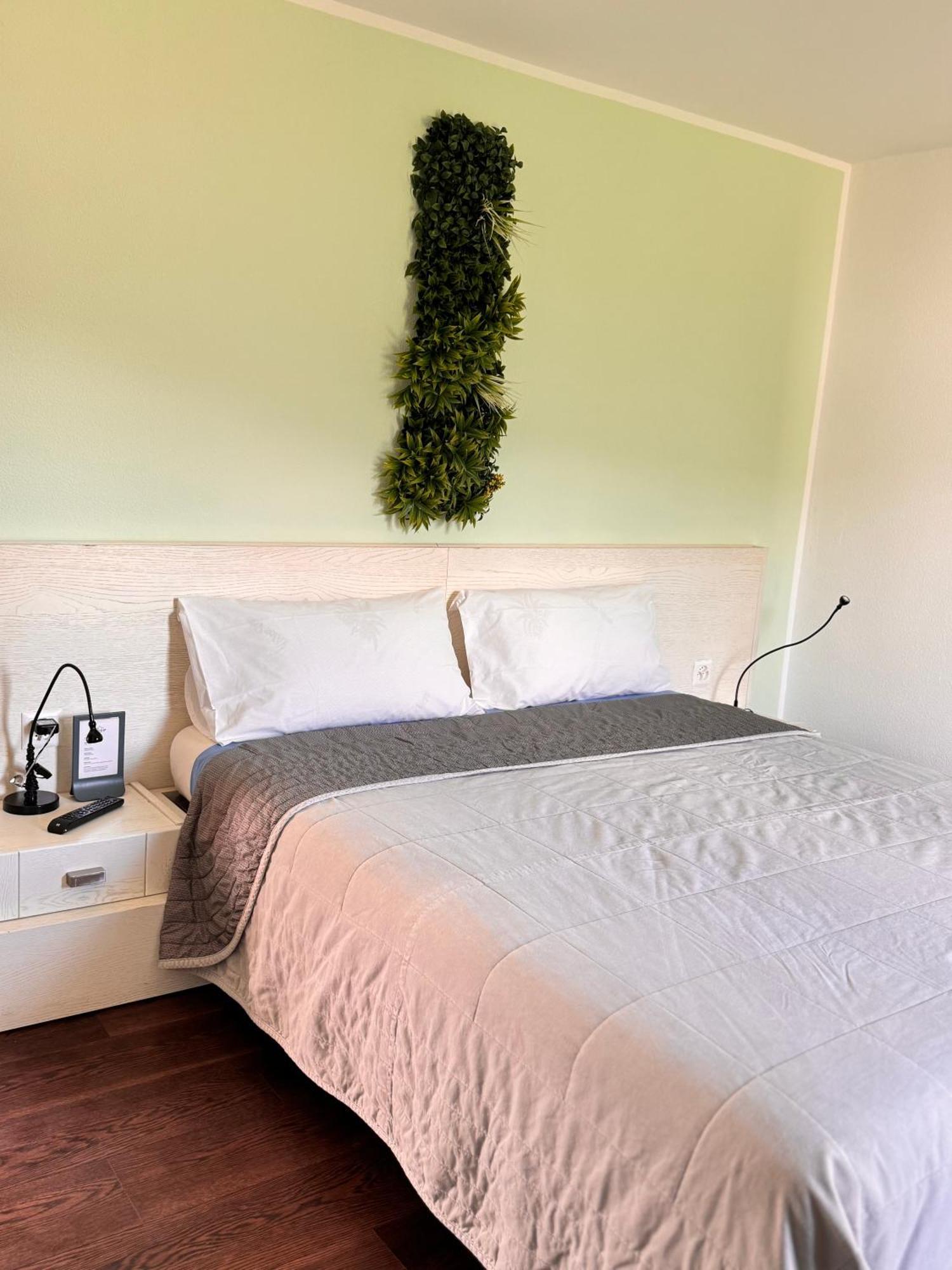 Viva Bacco Bed & Breakfast Gambarogno Luaran gambar