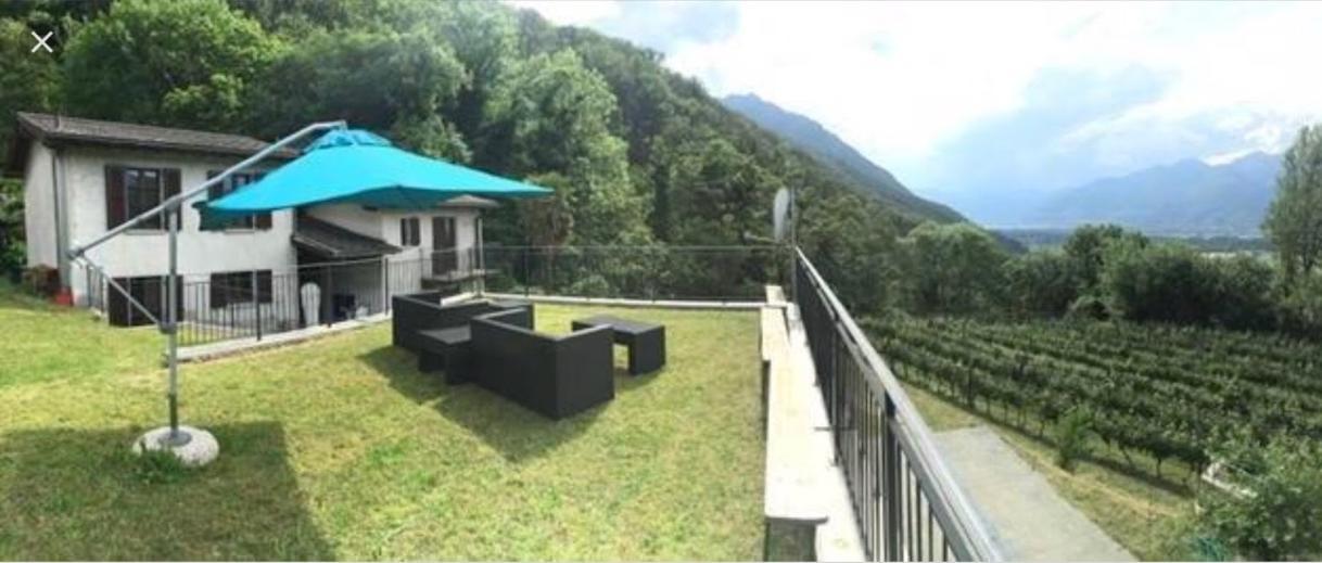 Viva Bacco Bed & Breakfast Gambarogno Luaran gambar