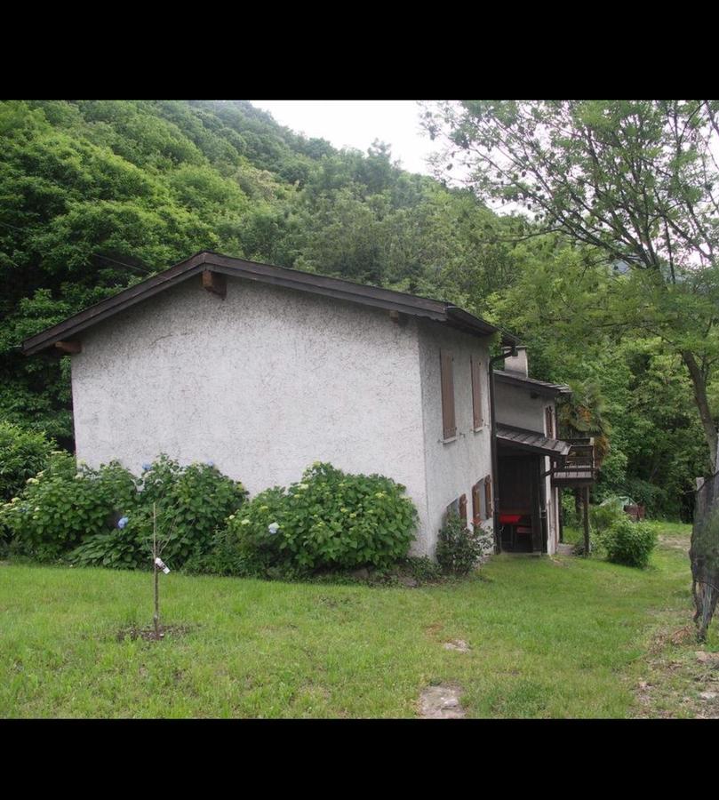 Viva Bacco Bed & Breakfast Gambarogno Luaran gambar