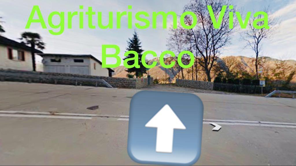 Viva Bacco Bed & Breakfast Gambarogno Luaran gambar